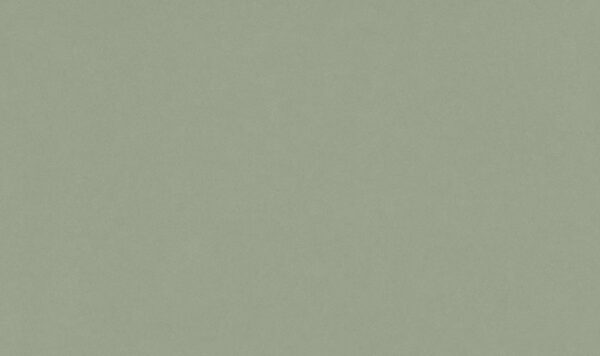 Silestone Posidonia küchenarbeitsplatte aus Konglomerat nach Maß, Grün – Suede