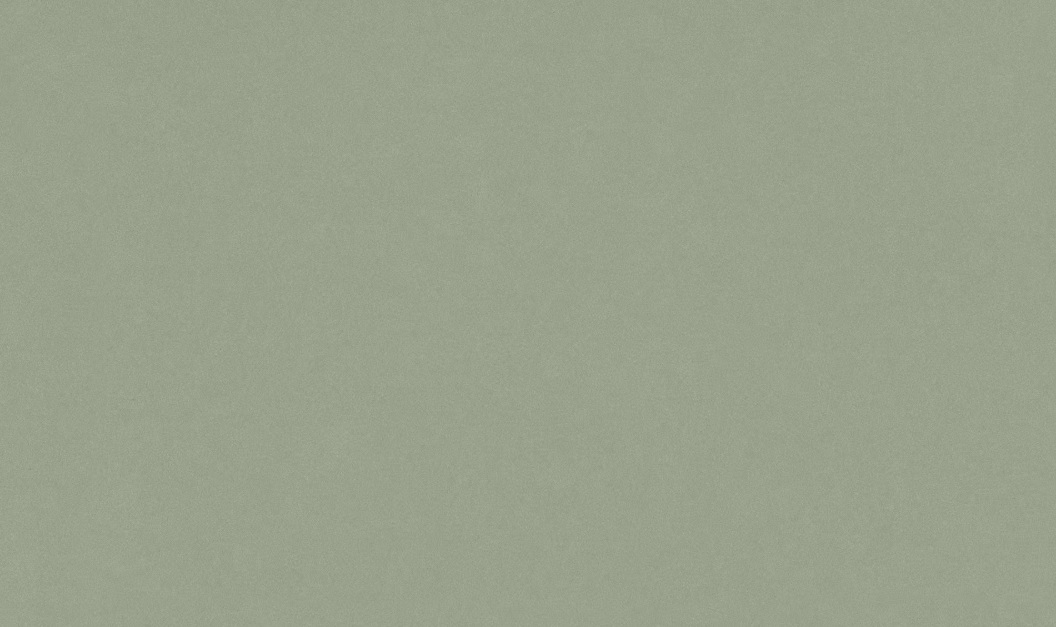 Silestone Posidonia küchenarbeitsplatte aus Konglomerat nach Maß, Grün – Suede