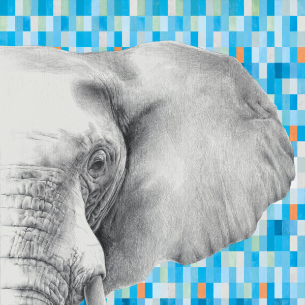 Velkoformátová dlaždice Mirage Indomita Elephant 120 × 278 cm, tloušťka 6 mm