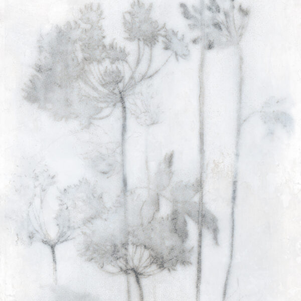 Velkoformátová dlaždice Mirage Papier Espoir Froid 120 × 278 cm, tloušťka 6 mm