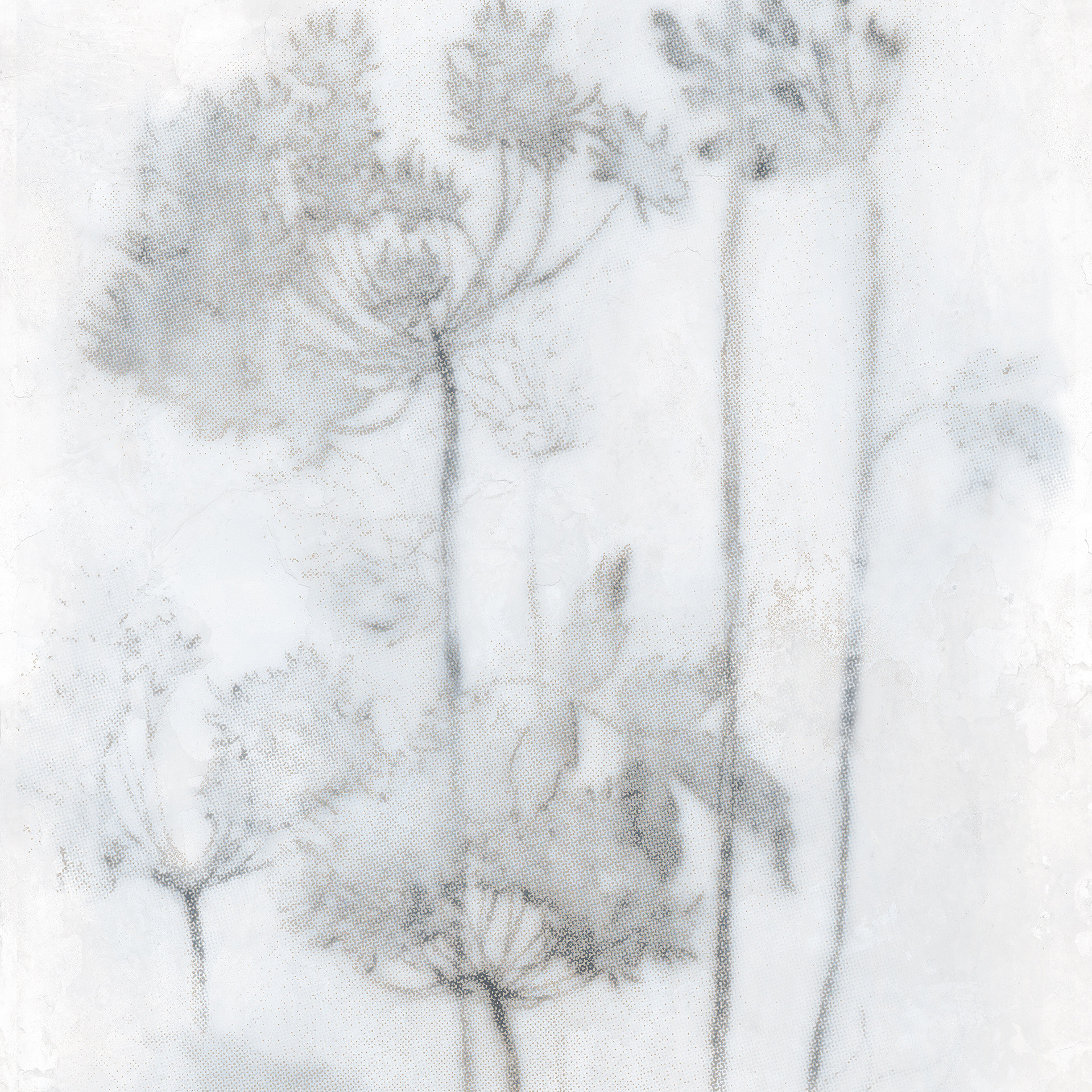 Velkoformátová dlaždice Mirage Papier Espoir Froid 120 × 278 cm, tloušťka 6 mm
