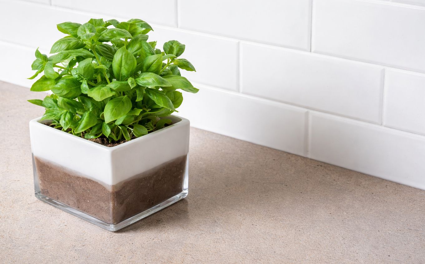 Kuchyňská deska z konglomerátu na míru, šedá – Caesarstone Primordia – matná